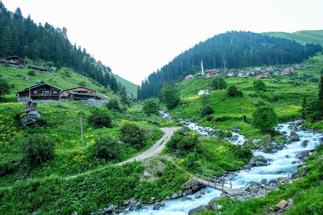 Zirve Apart Uzungol Bagian luar foto